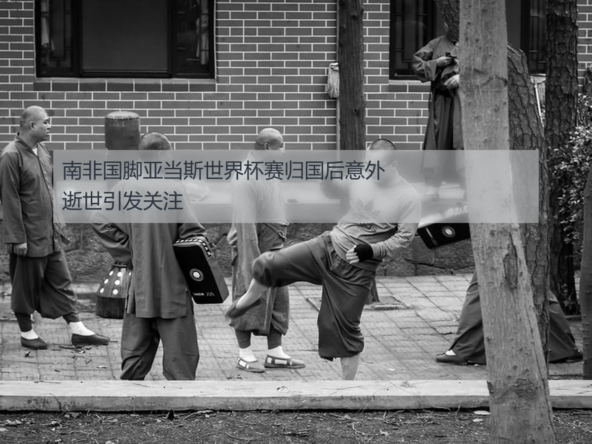 南非国脚亚当斯世界杯赛归国后意外逝世引发关注